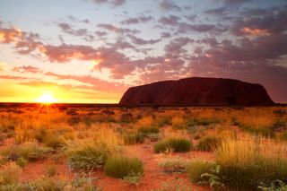 Careers: Dental practices across 6 Australian states